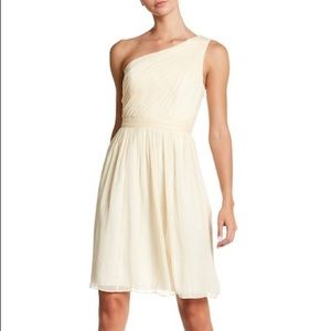 NWT J Crew champagne silk dress/wedding